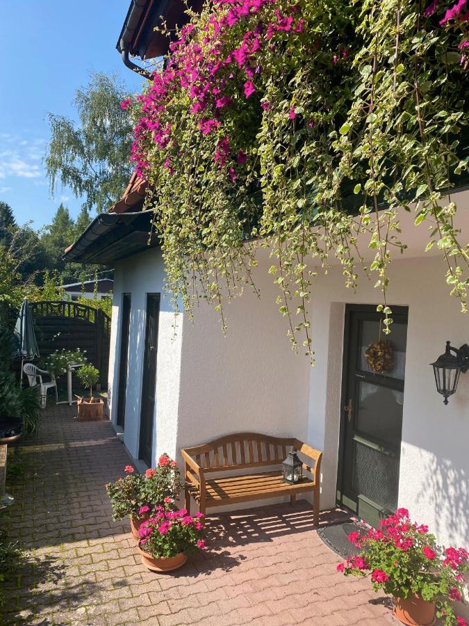 Ferienwohnungen Elsterblick Bad Elster Zewnętrze zdjęcie