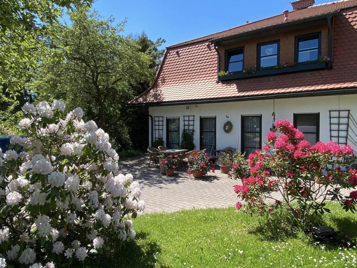 Ferienwohnungen Elsterblick Bad Elster Zewnętrze zdjęcie