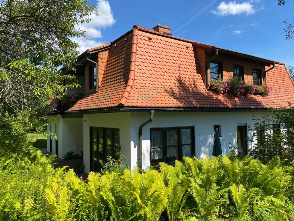 Ferienwohnungen Elsterblick Bad Elster Zewnętrze zdjęcie