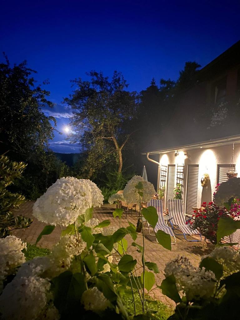 Ferienwohnungen Elsterblick Bad Elster Zewnętrze zdjęcie